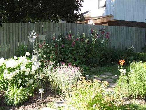 Twin Pines Bed And Breakfast Peterborough Buitenkant foto